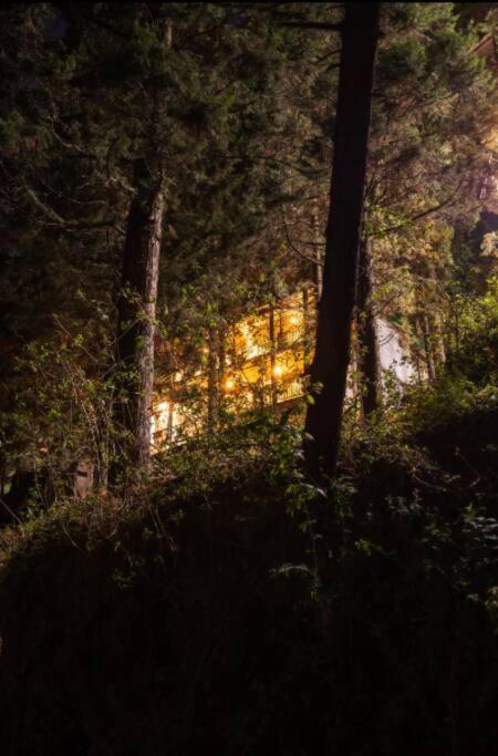 The Hill Story, Entire Chalet, Offbeat,Cozy موسوري المظهر الخارجي الصورة